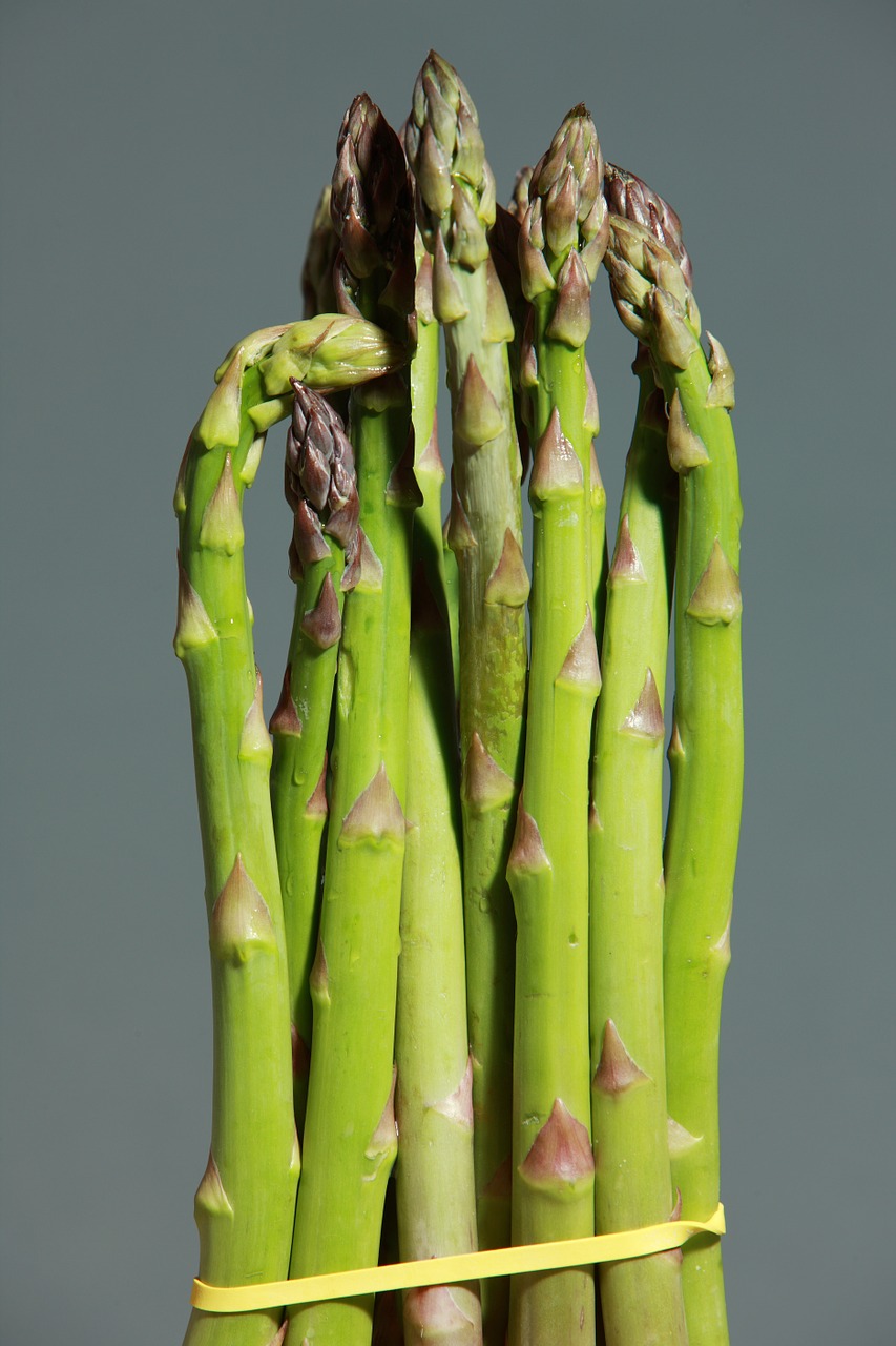 Image - green asparagus asparagus green