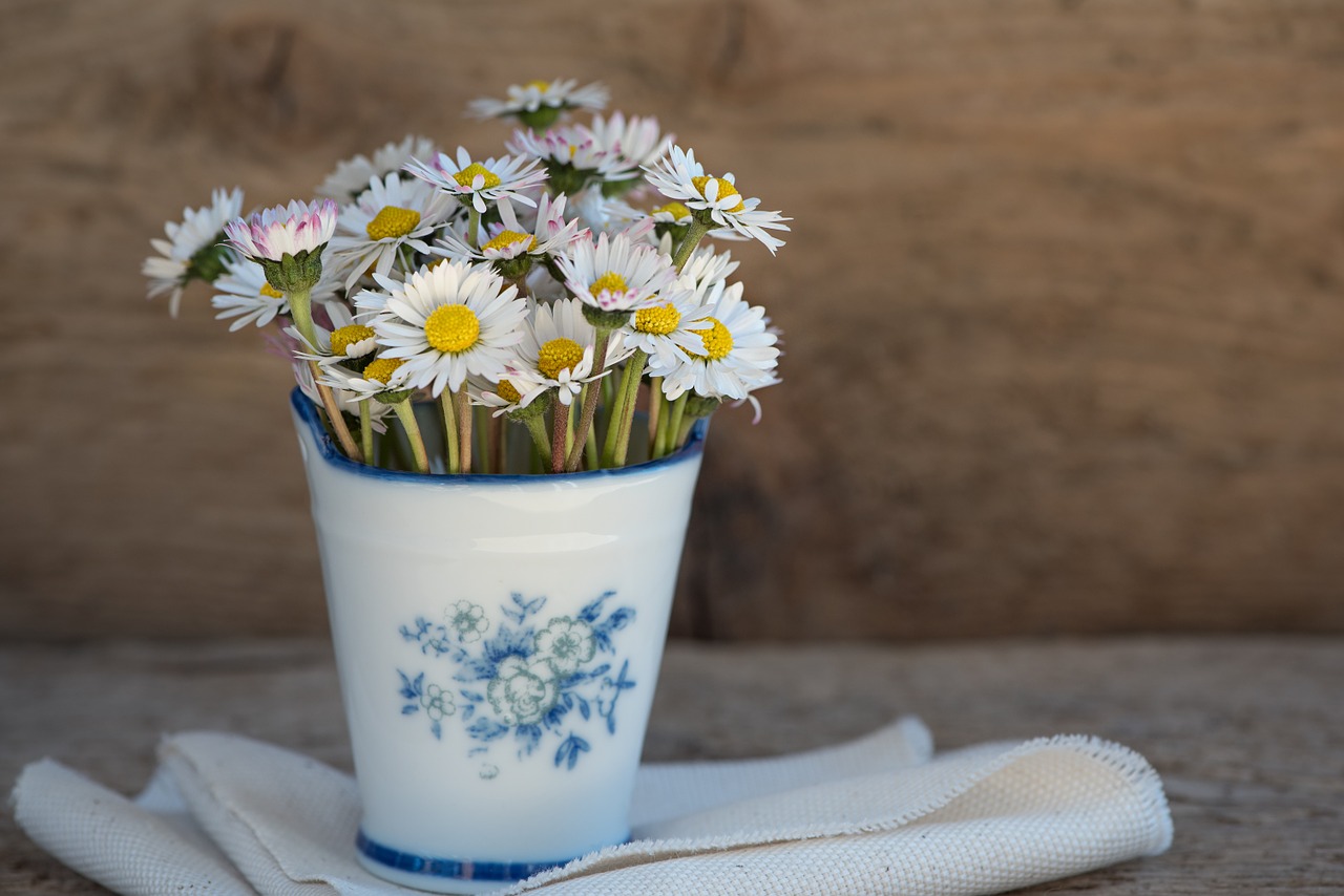 Image - daisy pointed flower flower white