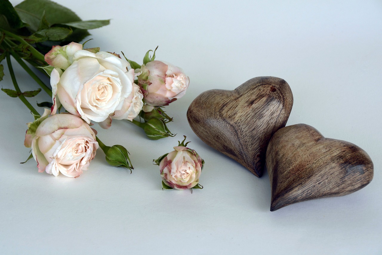 Image - roses salmon rose bloom flower