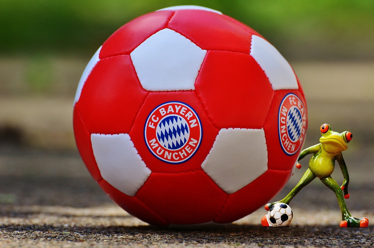 Image - bayern munich frog football club