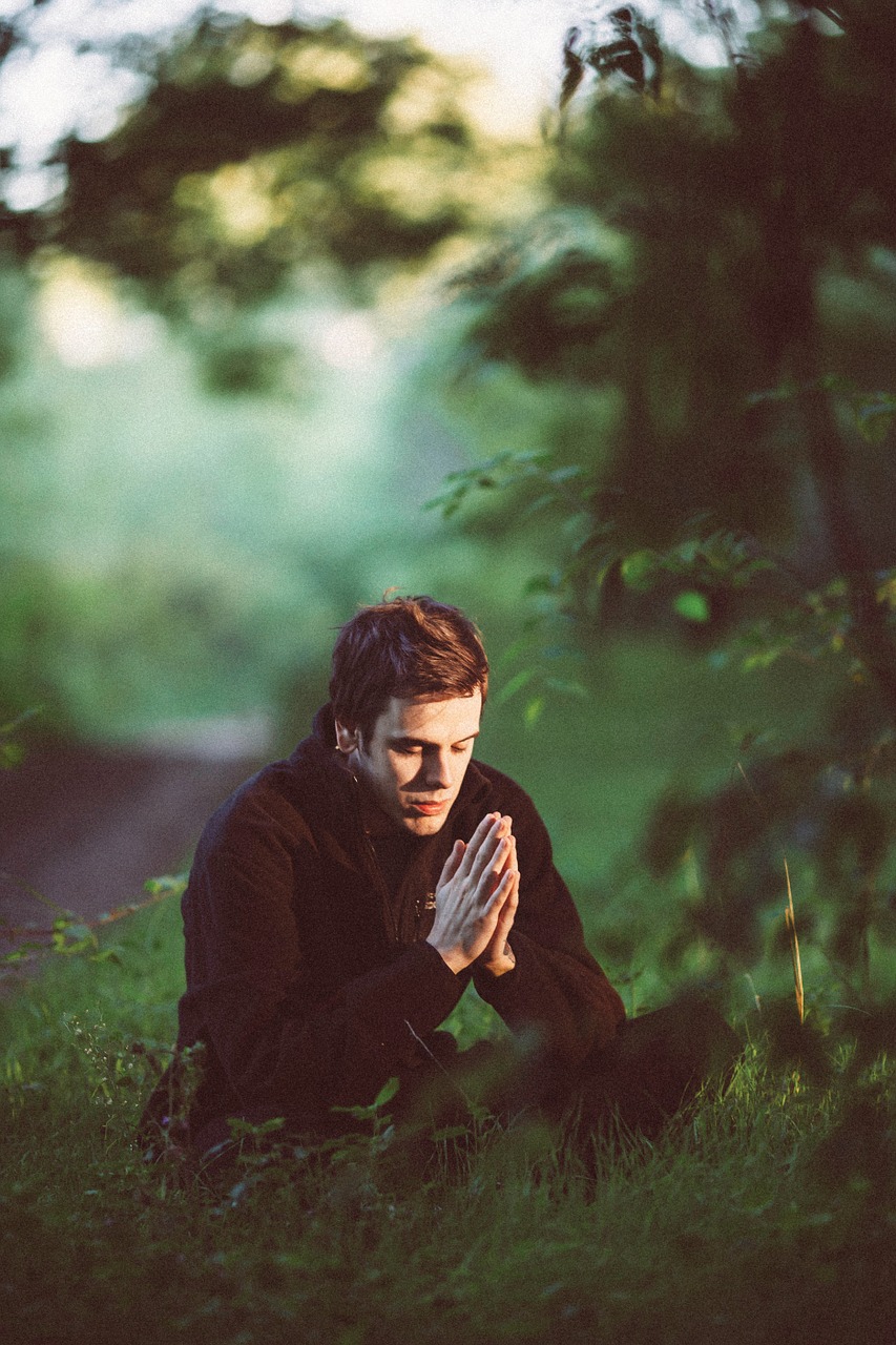 Image - meditation green pray forest