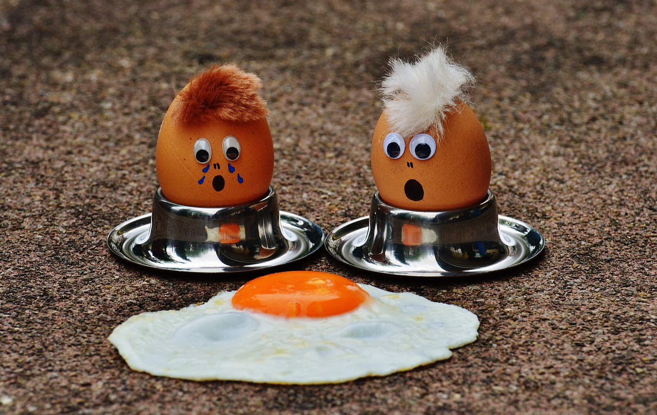 Image - egg fried mourning fun funny cute