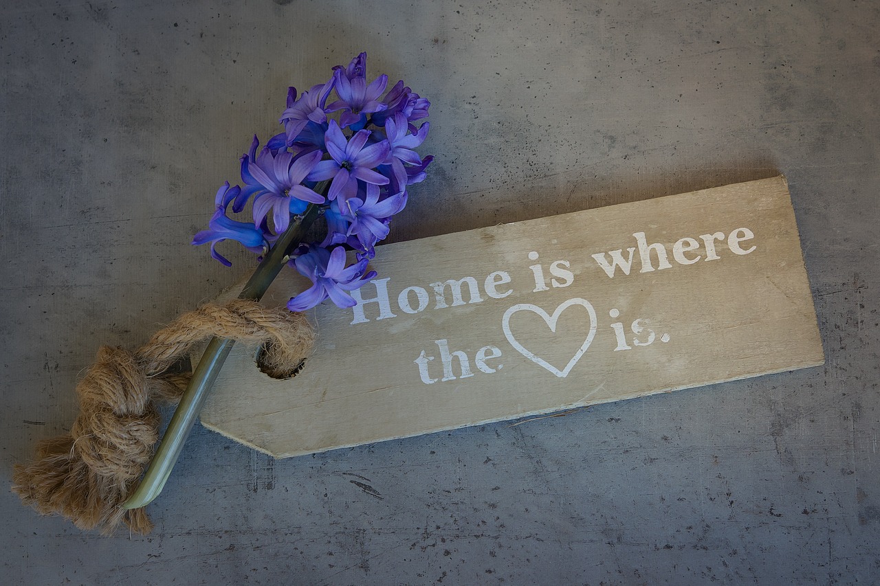 Image - hyacinth flower flowers blue