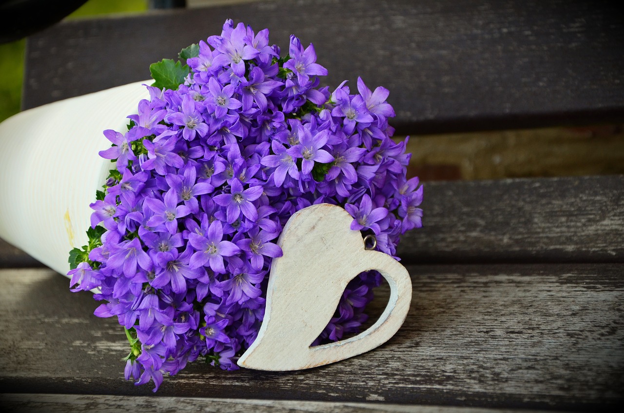 Image - flowerpot flower purple mother s day