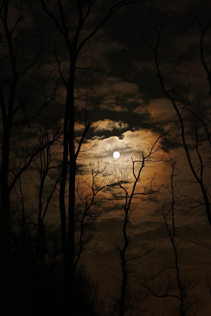 Image - full moon dark spooky sky clouds