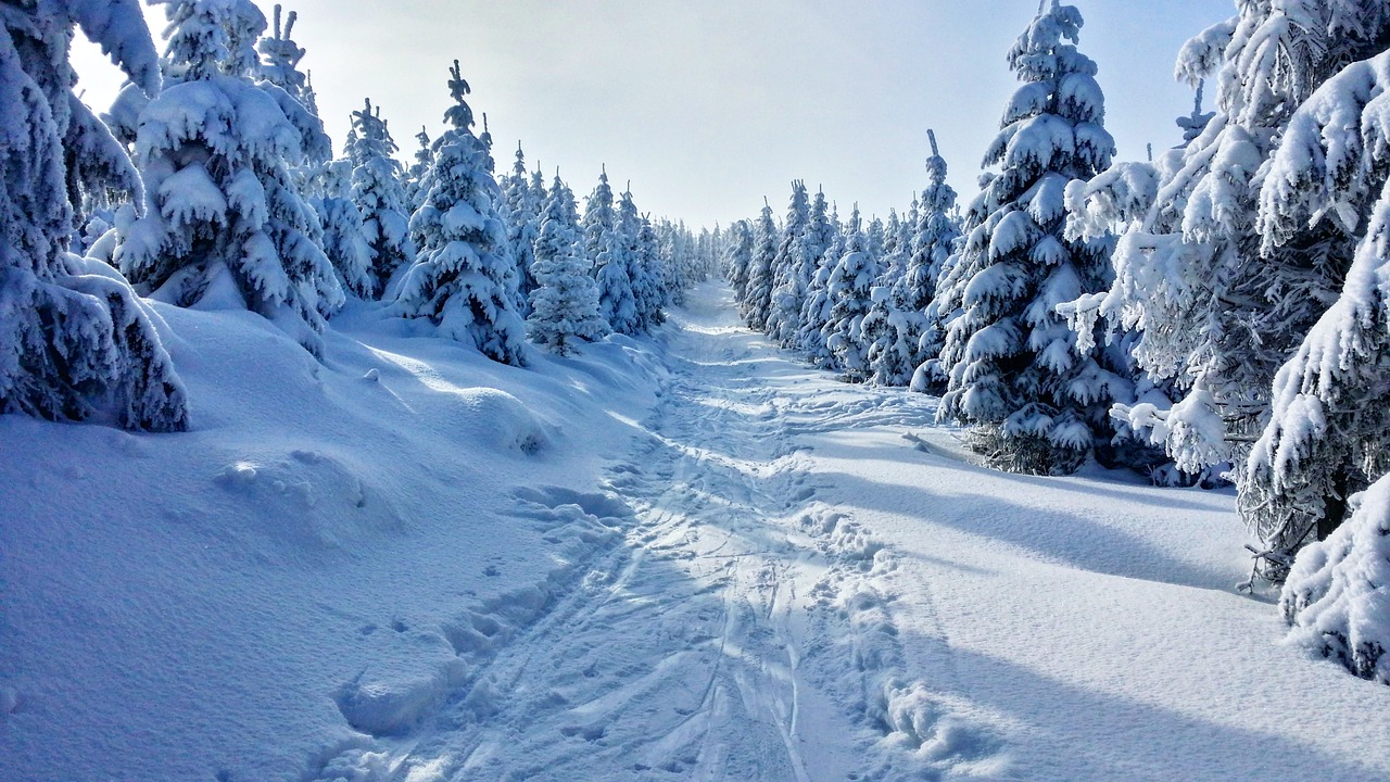 Image - winter mountains snow view