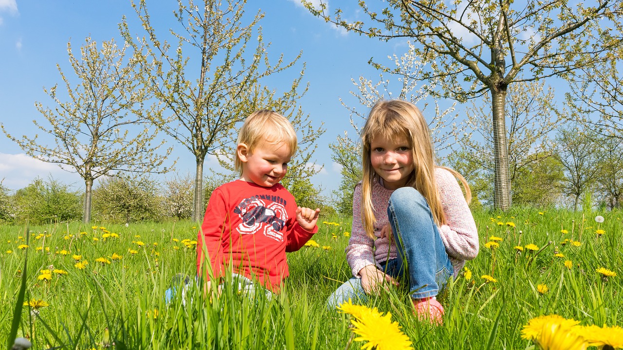 Image - children meadow summer play