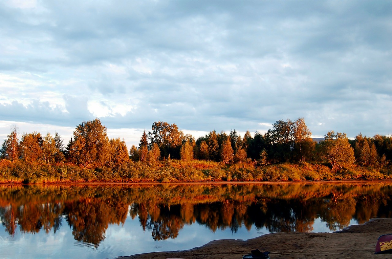 Image - lapland finland lapp forest nature