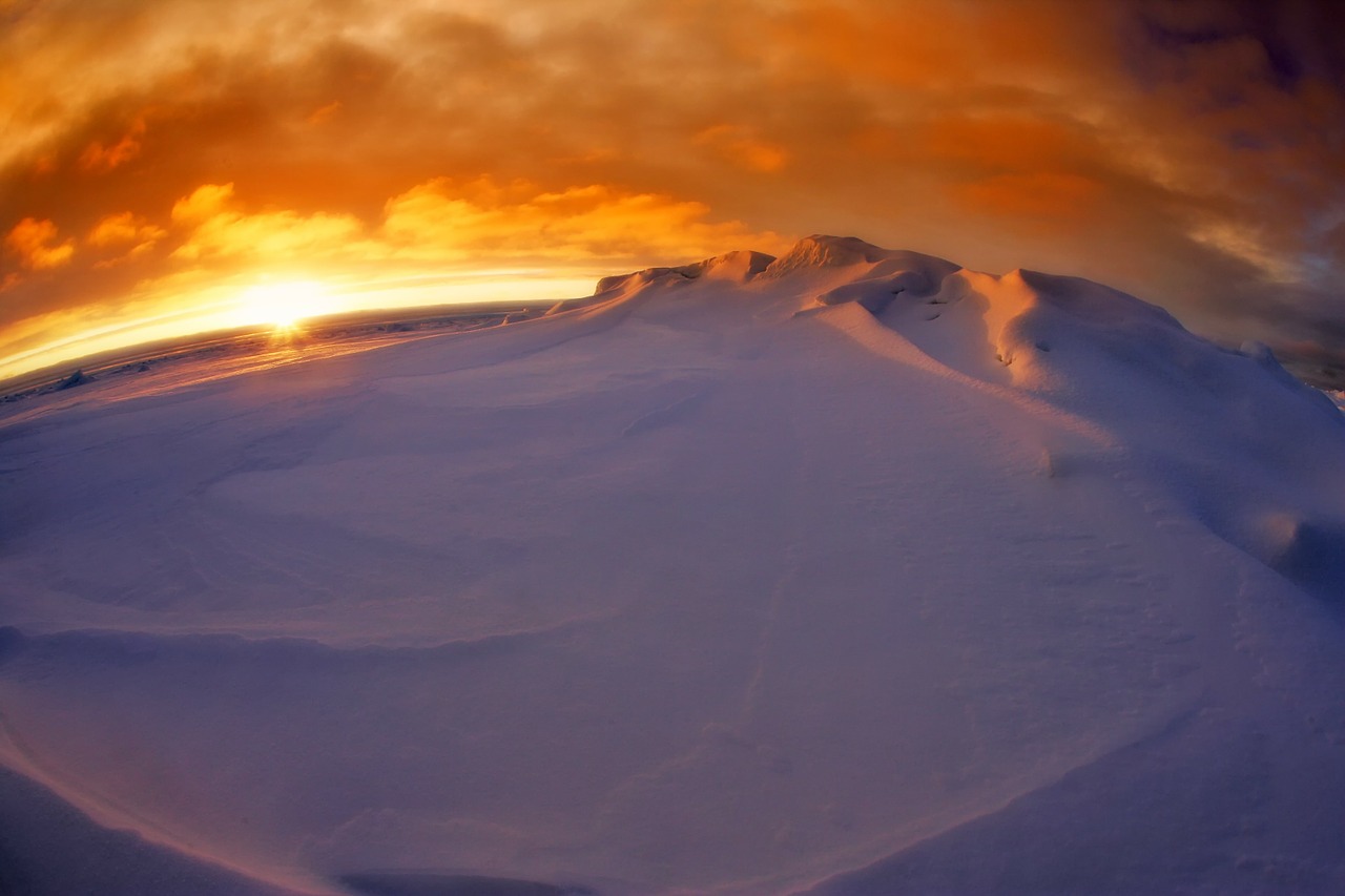 Image - arctic sea ocean water antarctica