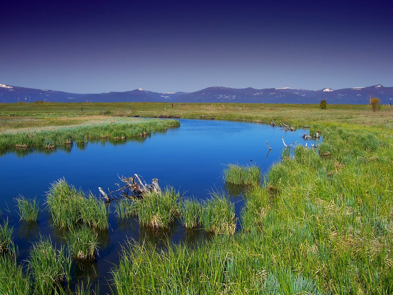 Image - oregon wood river marsh water