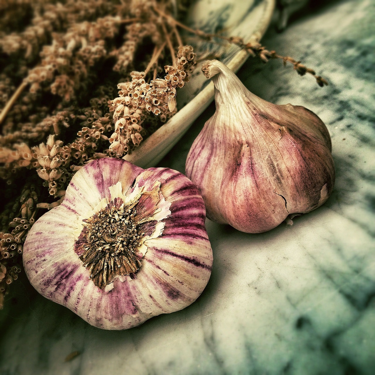 Image - garlic spice ingredient aromatic