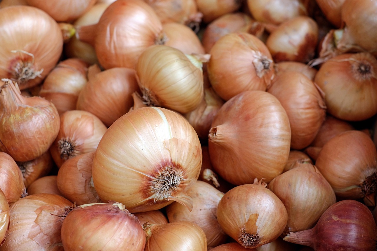 Image - onions vegetables food healthy