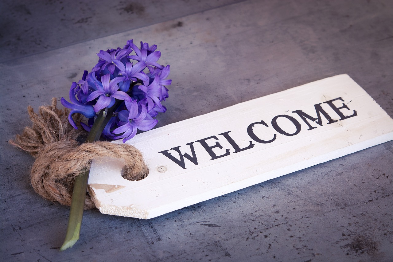 Image - hyacinth flower blue blue flower