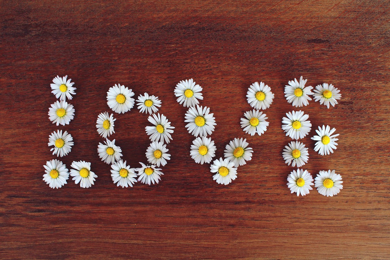 Image - daisy word love text