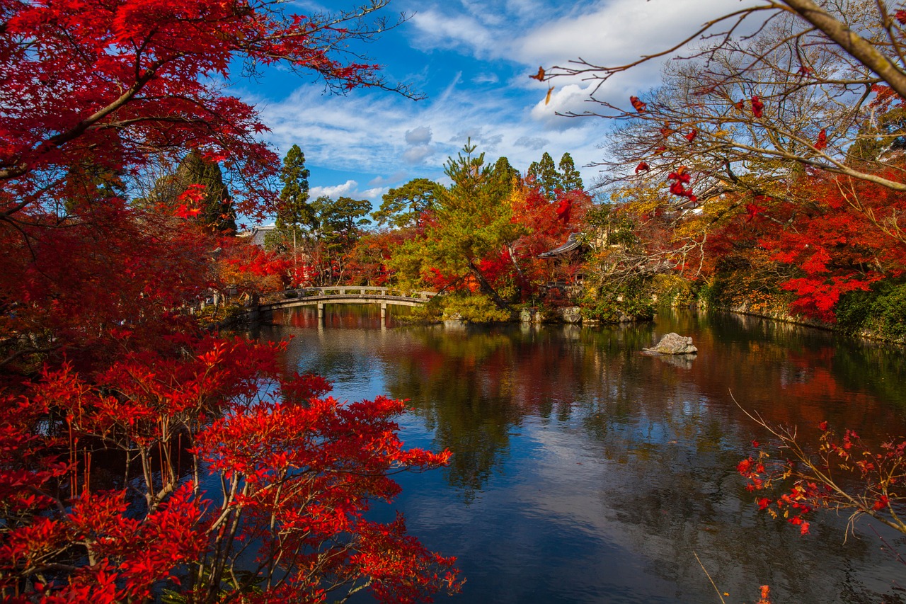 Image - japanese asia foliage ancient