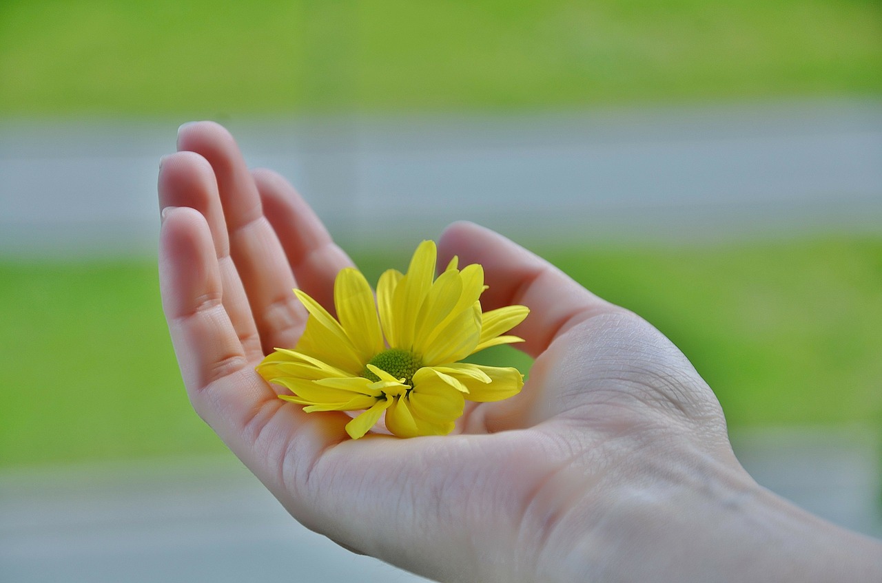 Image - hand fingers hands finger sky