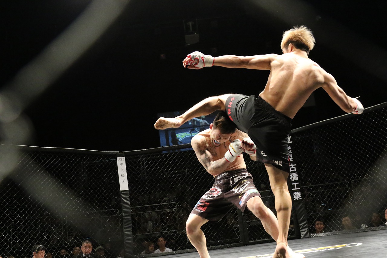 Image - mixed martial arts sport kick