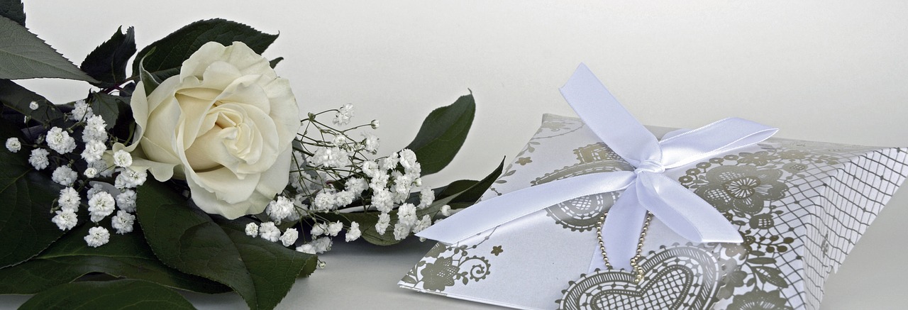 Image - roses rose flower flowers white