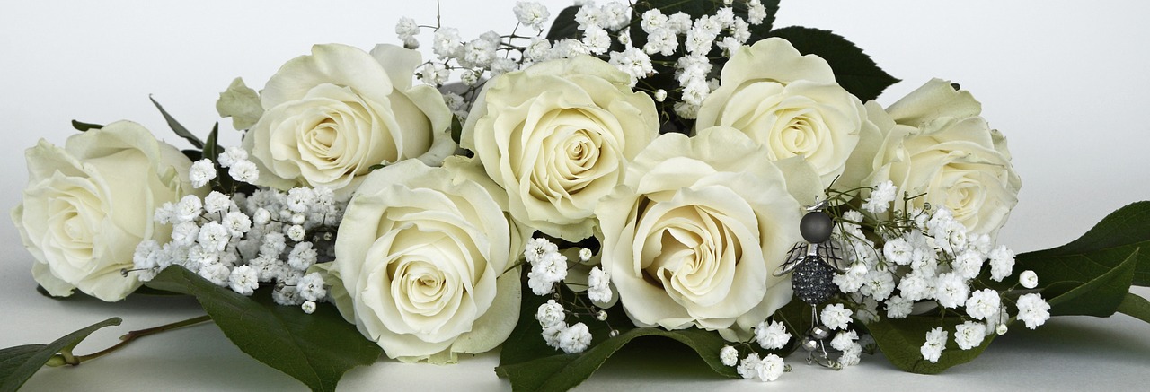 Image - roses rose flower flowers white