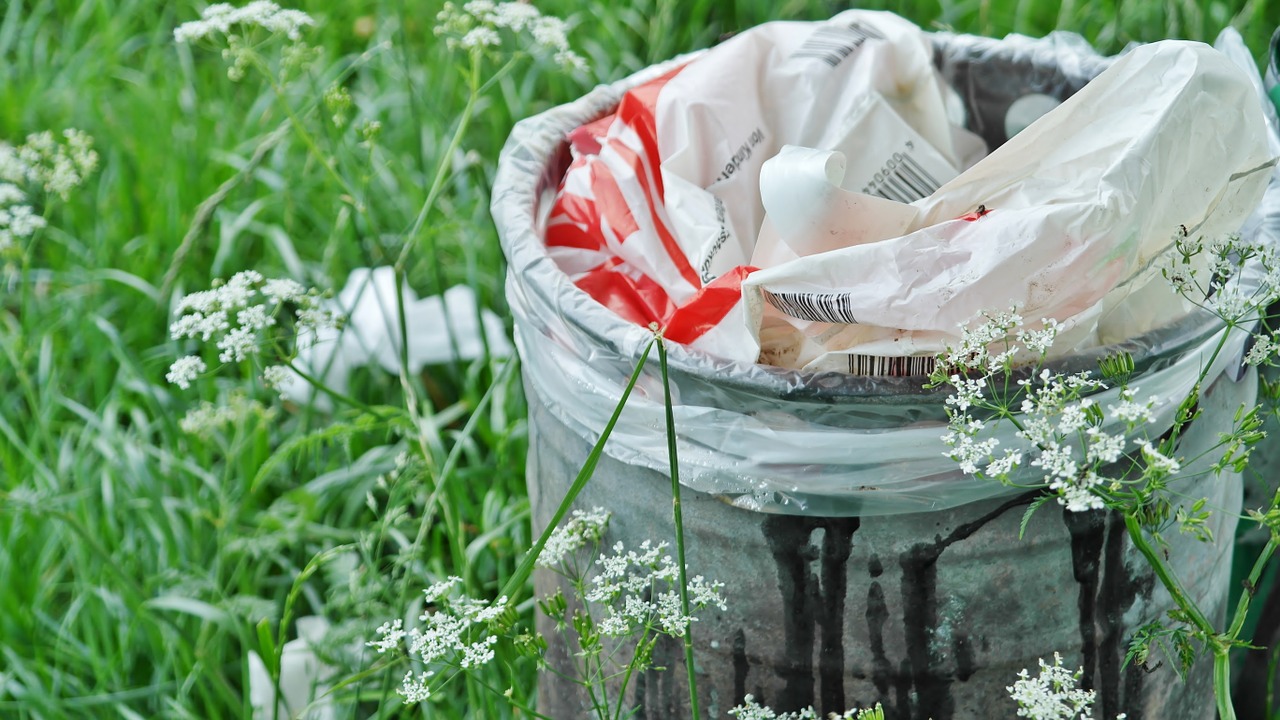 Image - garbage can waste waste bins