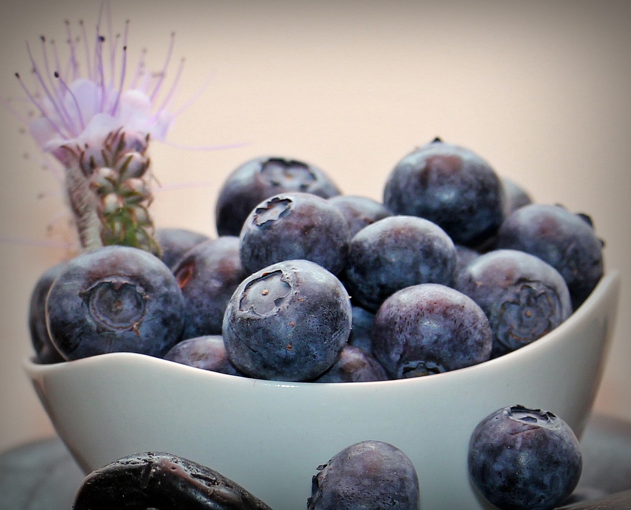 Image - blueberries fruits fruit vitamins