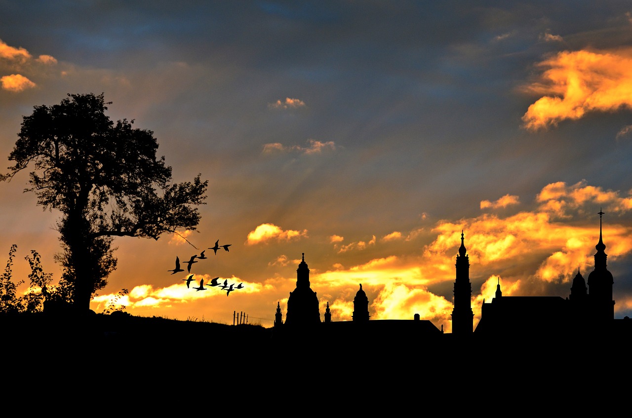 Image - city view evening sky silhouette