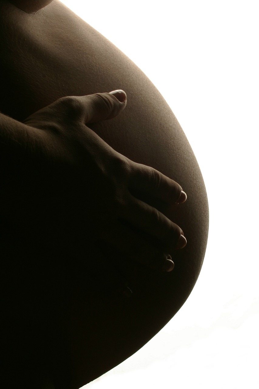 Image - pregnant pregnancy maternity mom