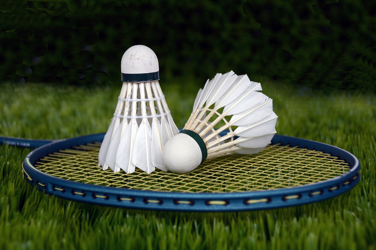 Image - badminton shuttle sport bat racket