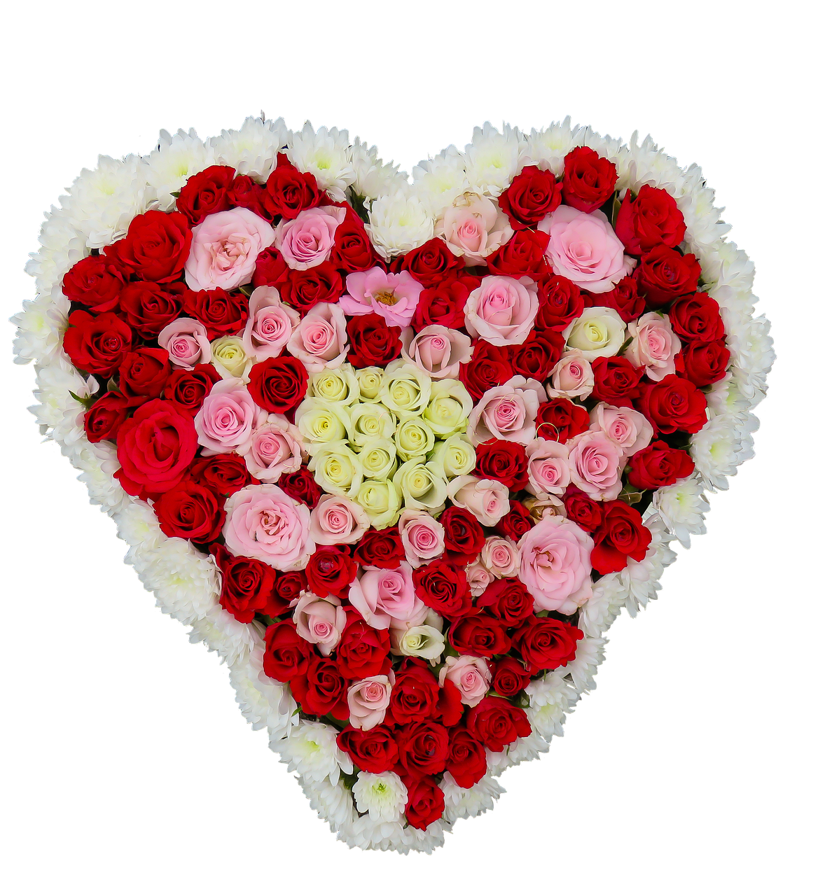 Image - heart flowers roses love birthday