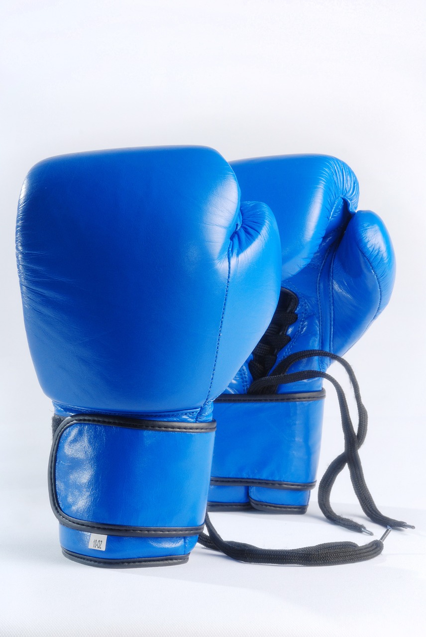 Image - blue boxing gloves