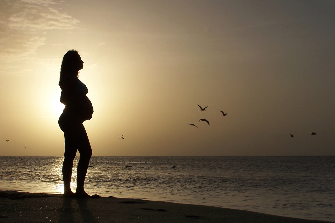 Image - beautiful young pregnant woman