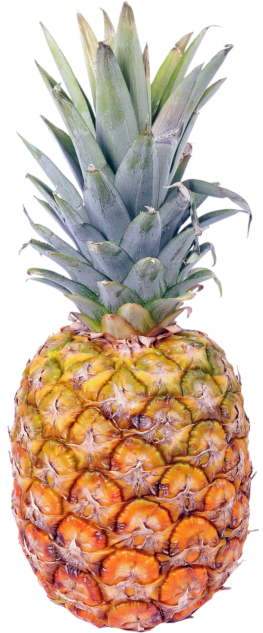 Image - isolated pineapple fruit beach