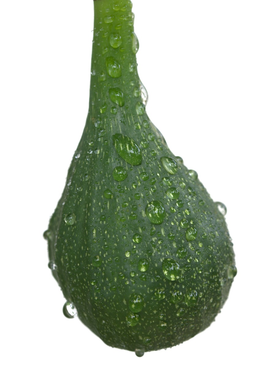 Image - fig fruit food real coward green