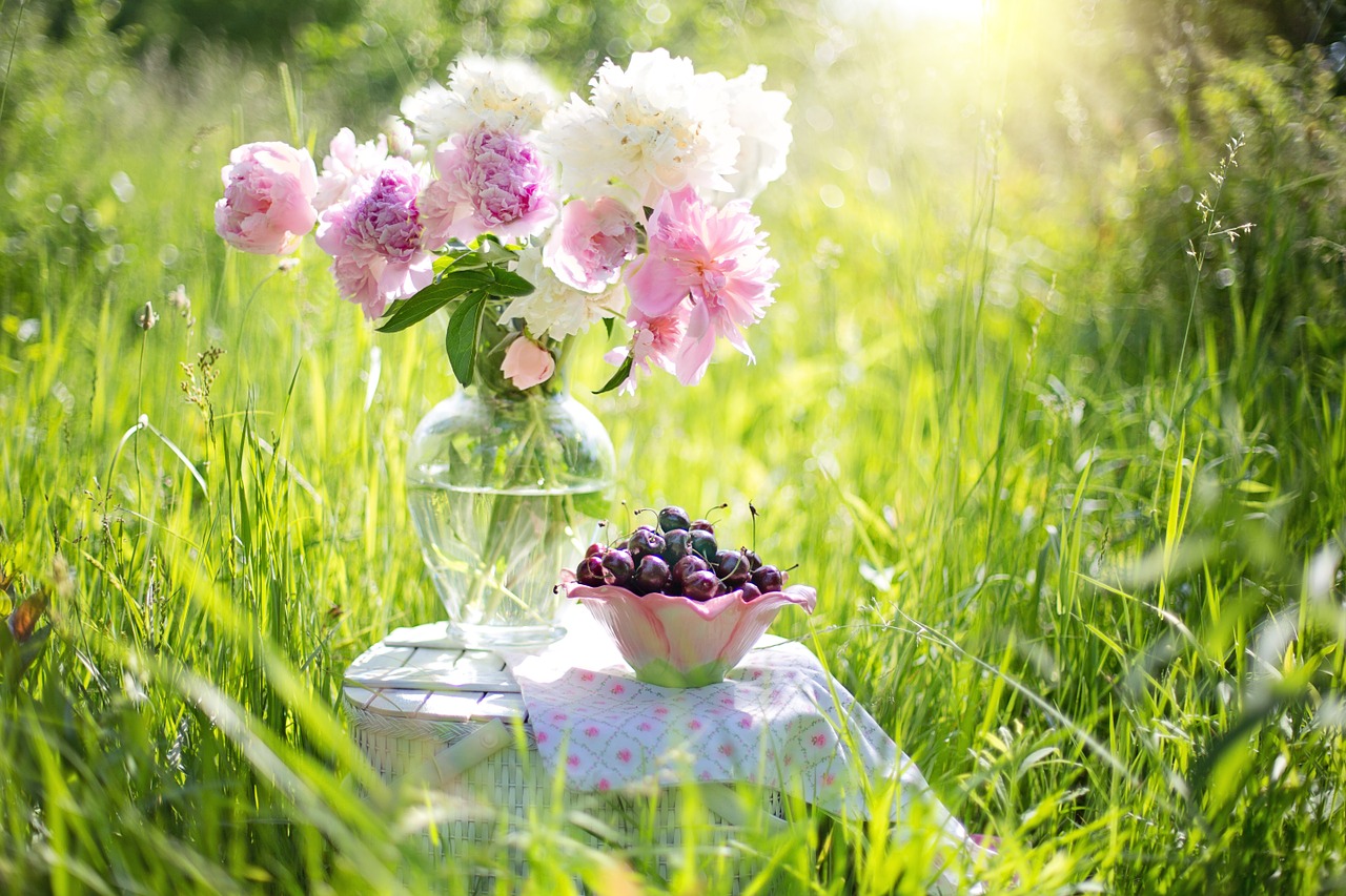 Image - cherries peonies pink blossom