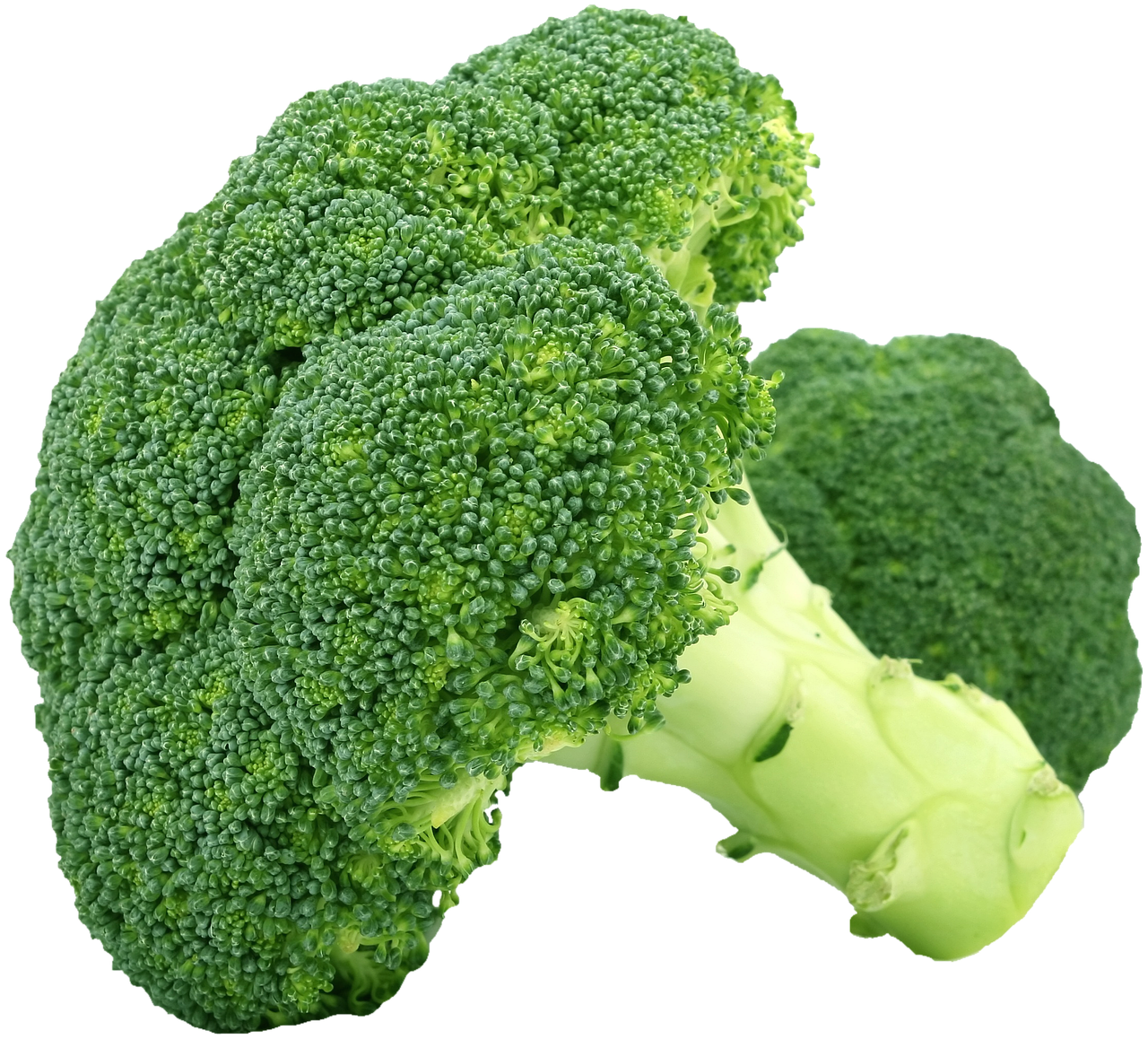 Image - isolated broccoli vegetables