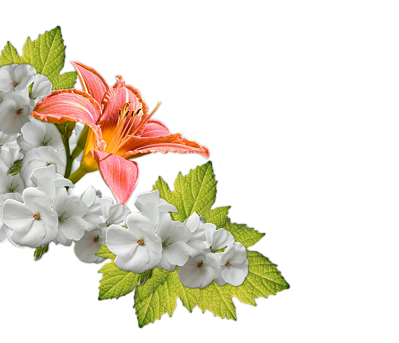Image - flowers bouquet decoration