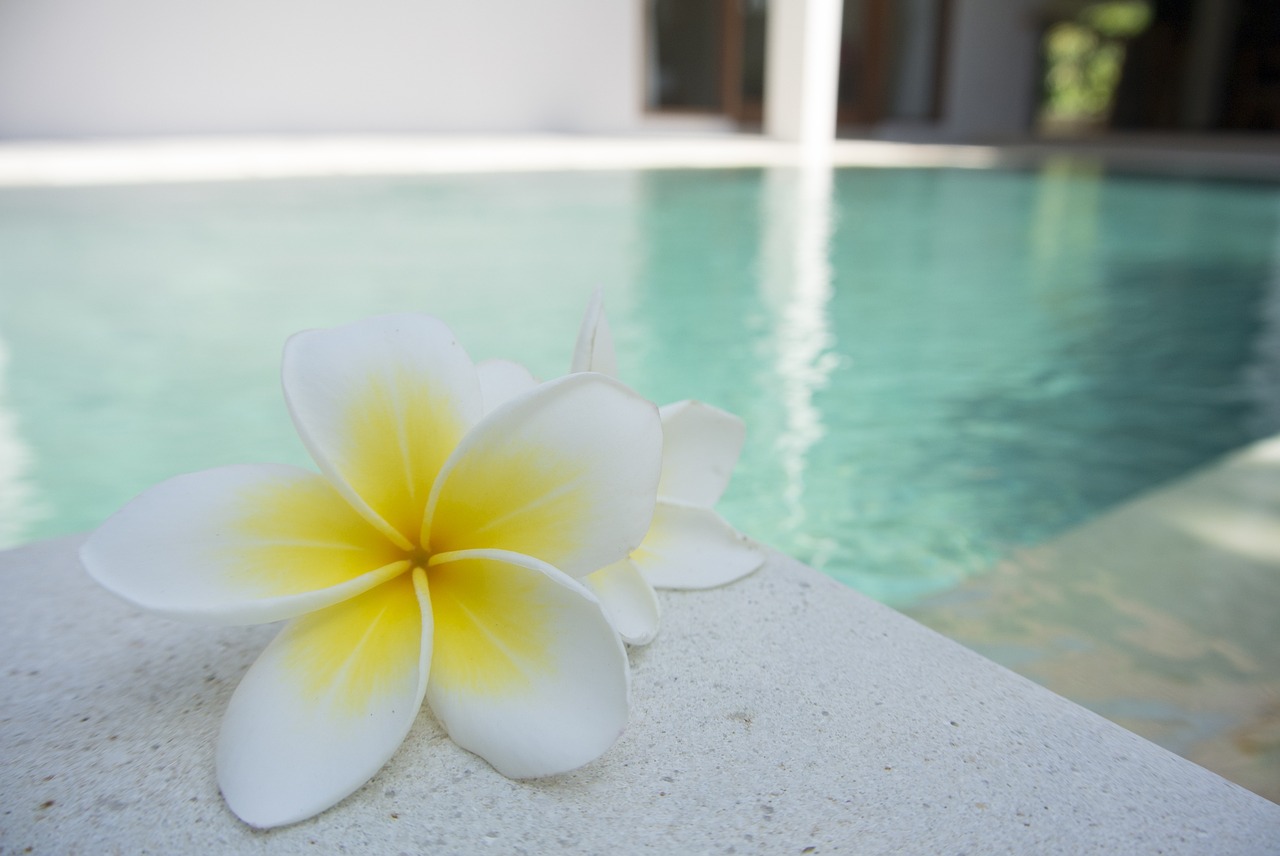 Image - flower frangipani pool tropical