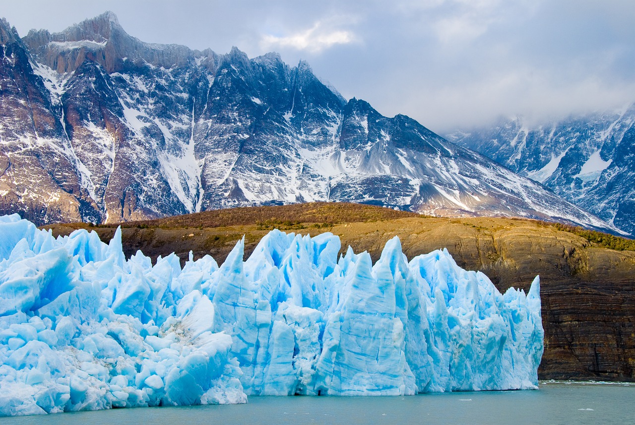 Image - chile patagonia flock nature