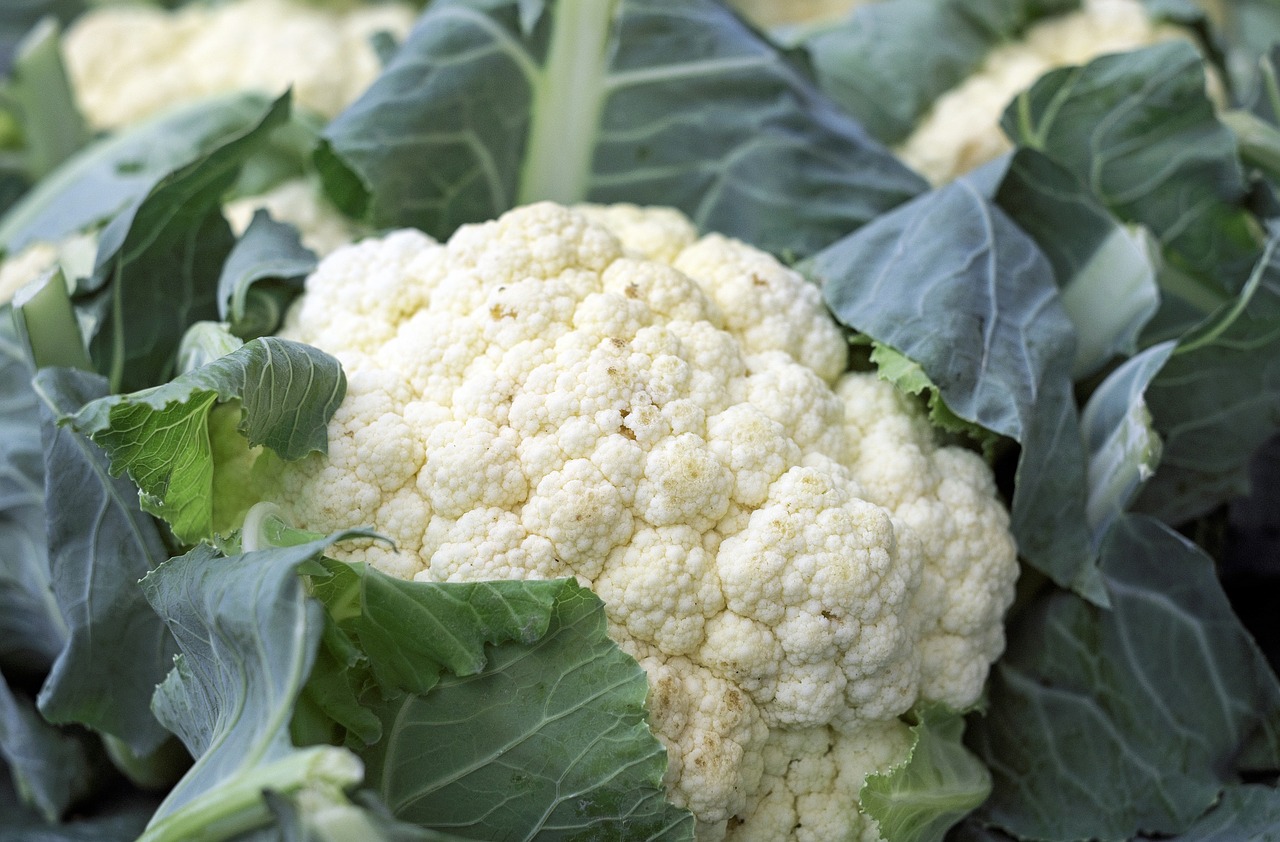 Image - cauliflower vegetables food