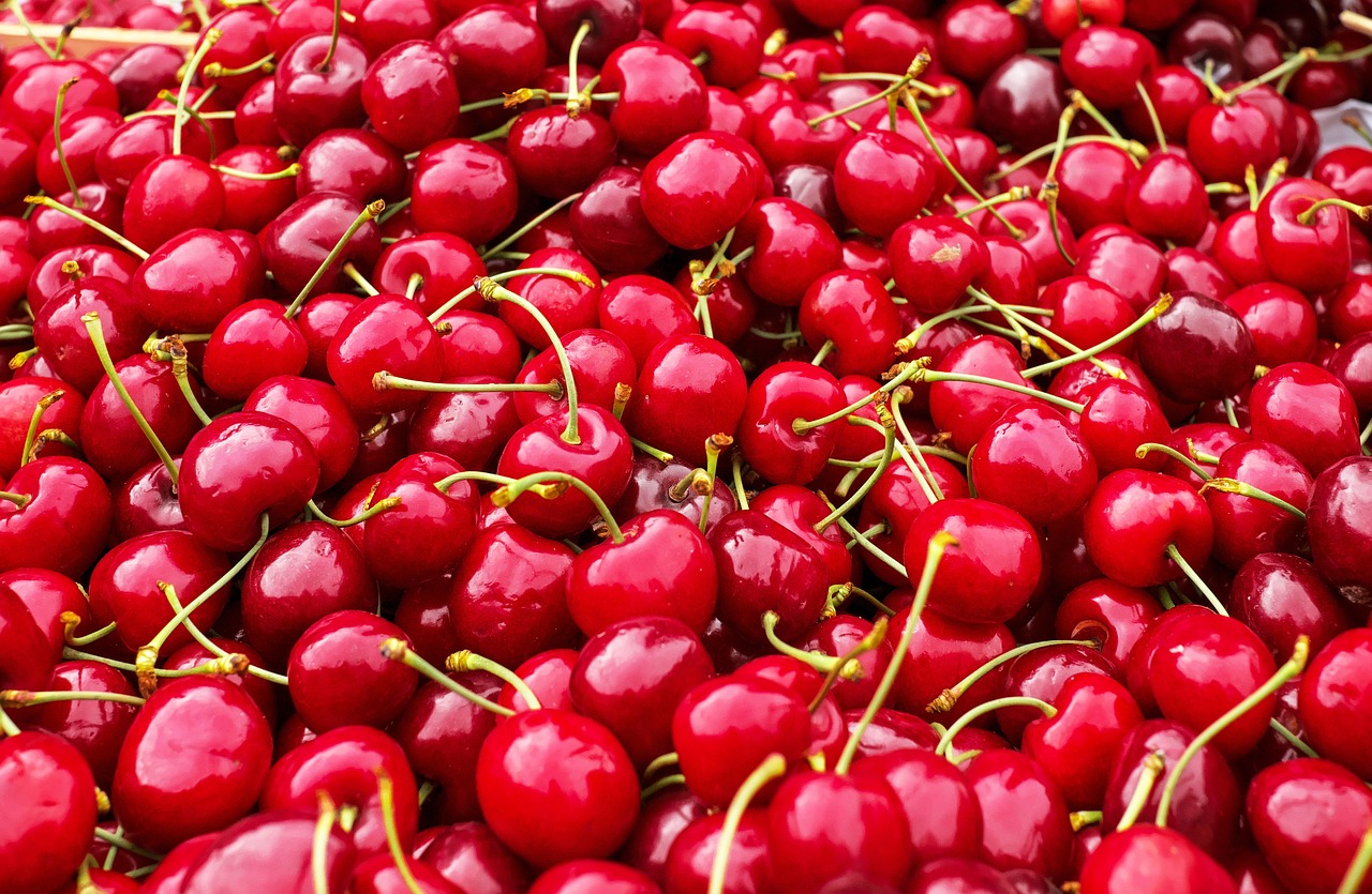 Image - cherries sweet cherries