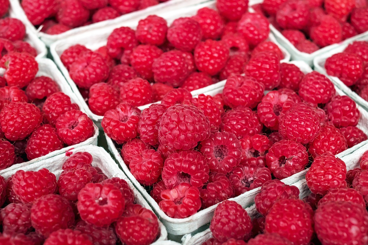 Image - raspberry berry fruit fruits red