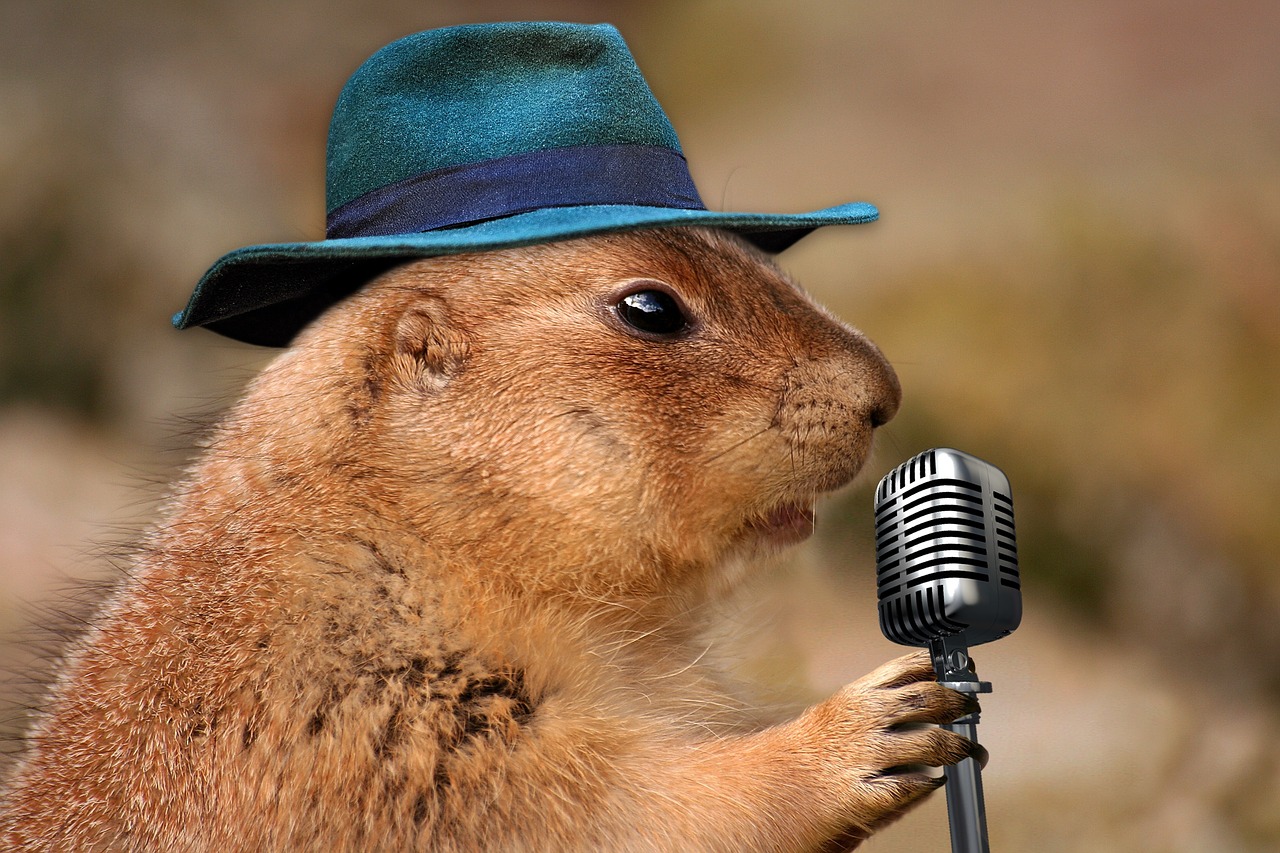 Image - prairie dog singing musical rodent