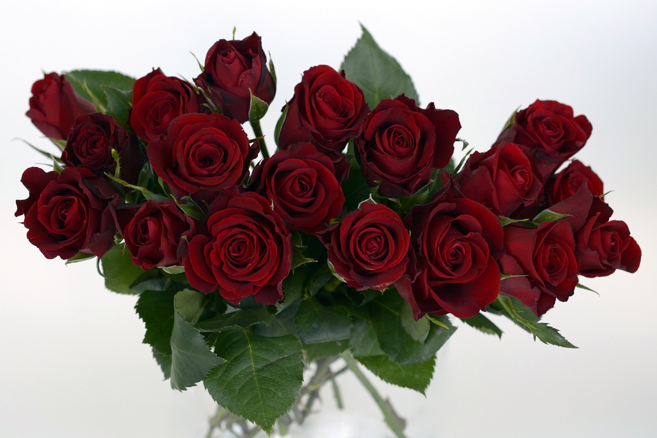 Image - roses bouquet of roses bouquet