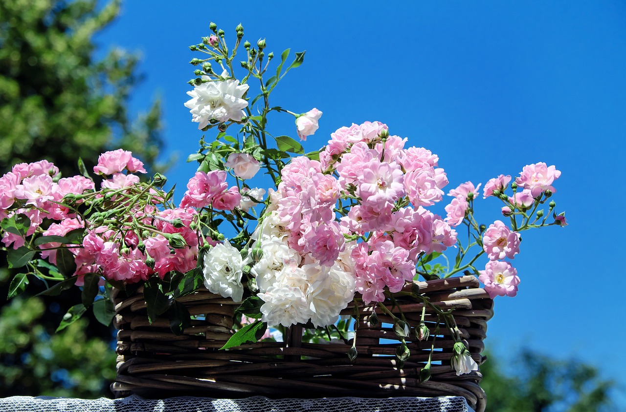 Image - roses bouquet of roses blossom