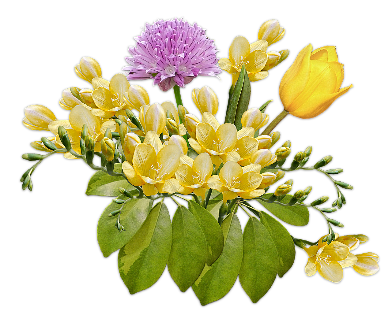 Image - flowers bouquet posy freesia tulip