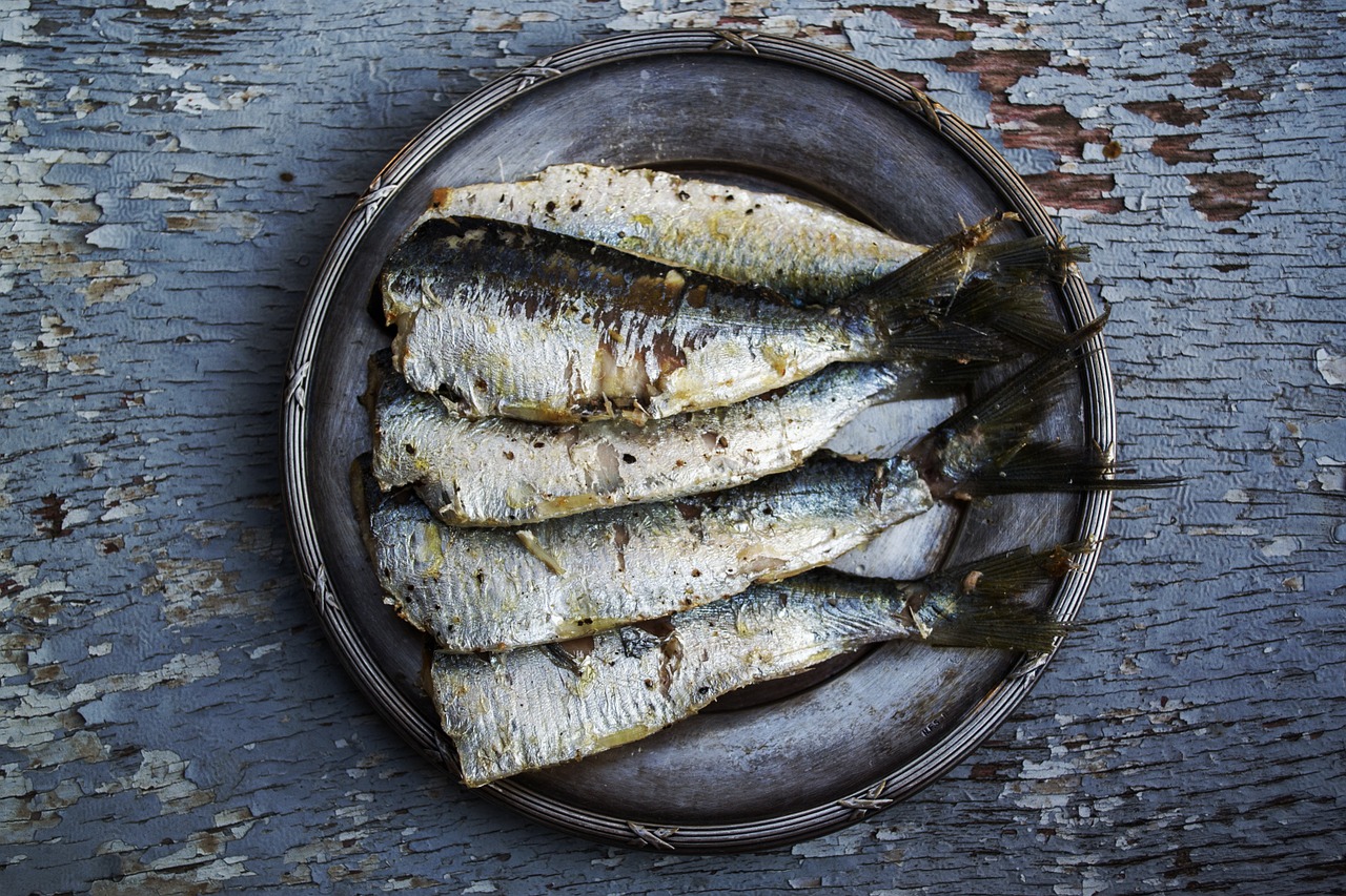 Image - sardines fish plated food food