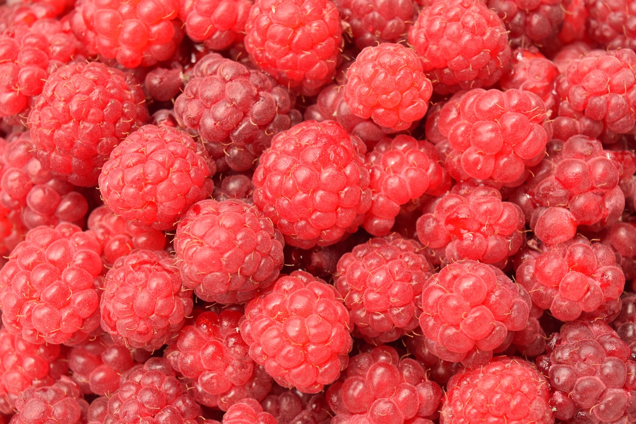 Image - raspberries close background fruit