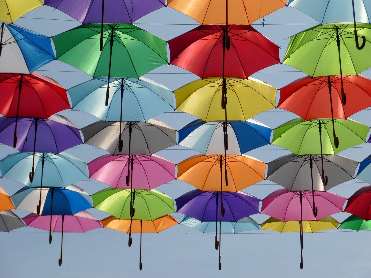 Image - umbrella color red green yellow