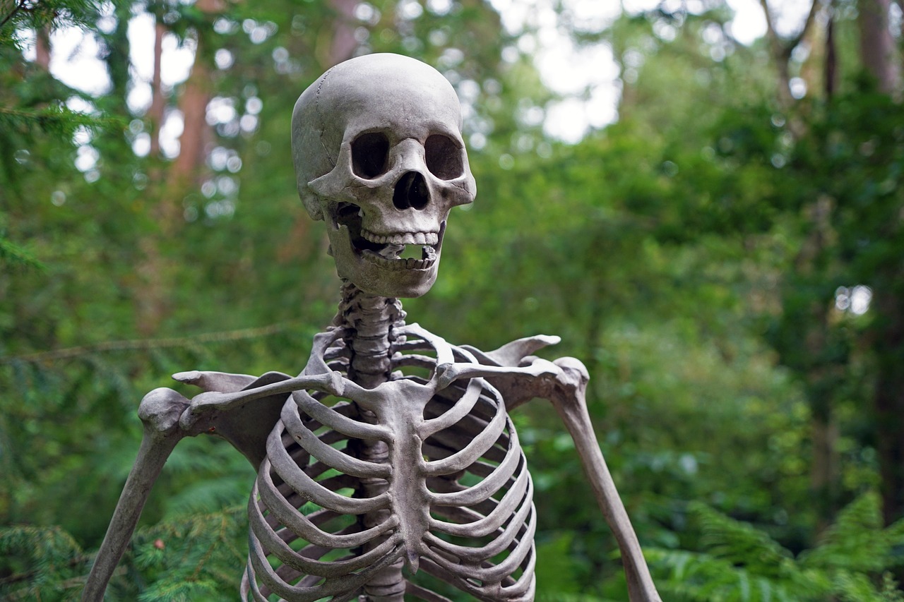 Image - skeleton forest scary death life