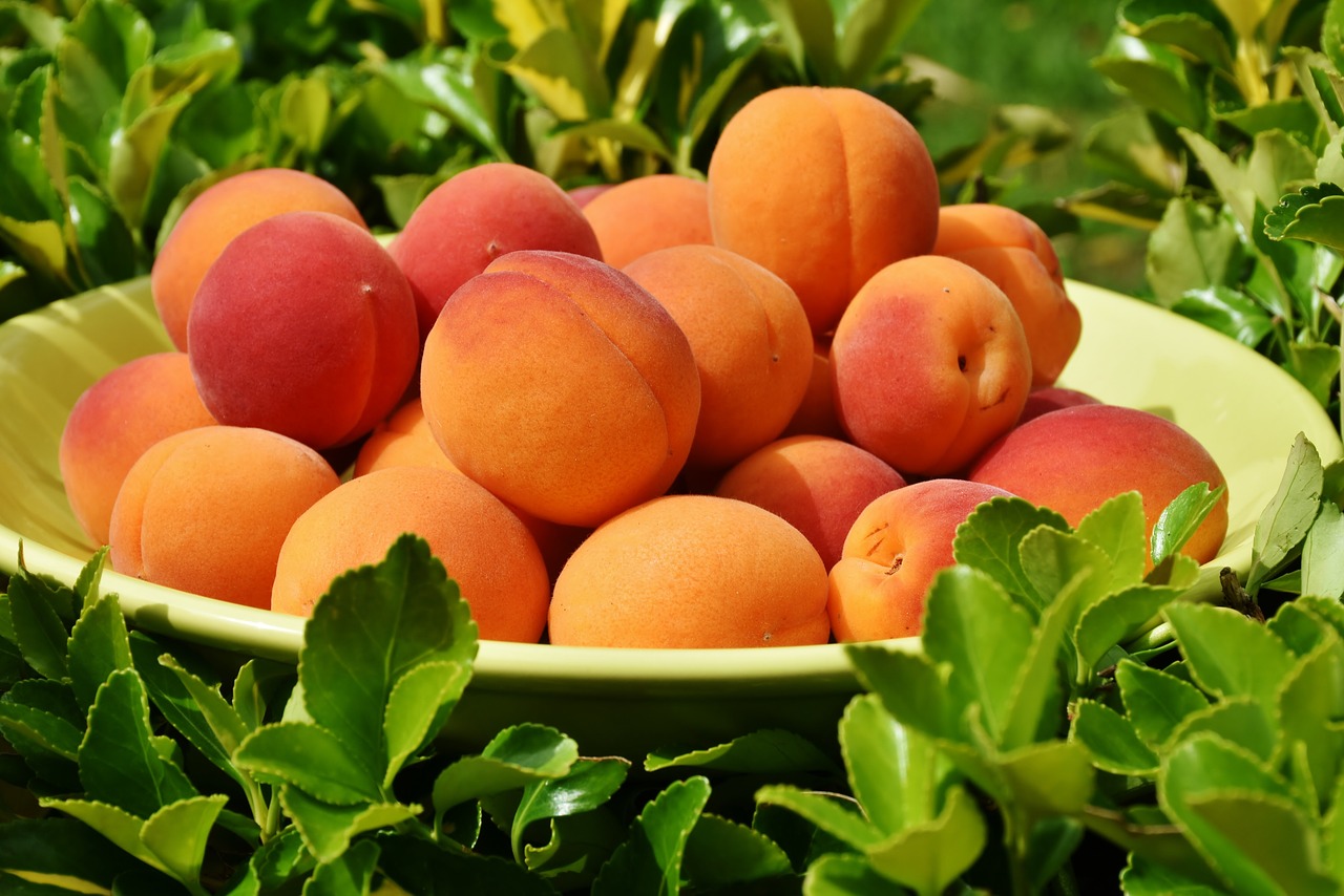 Image - apricots apricot fruit fruits